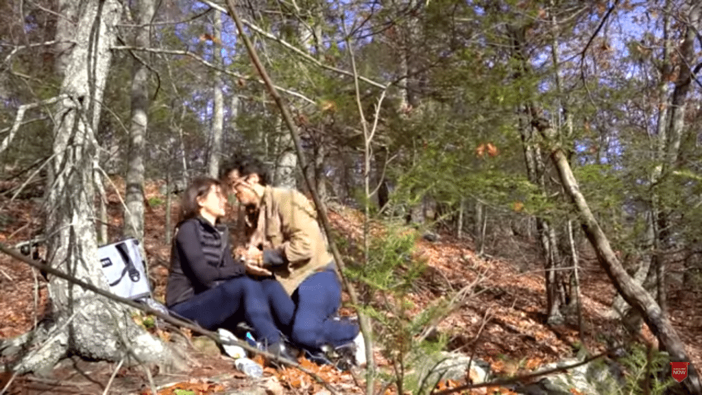 anne curtis' engagement!