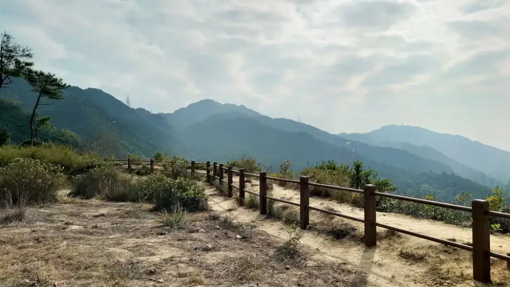 蝌蚪坪