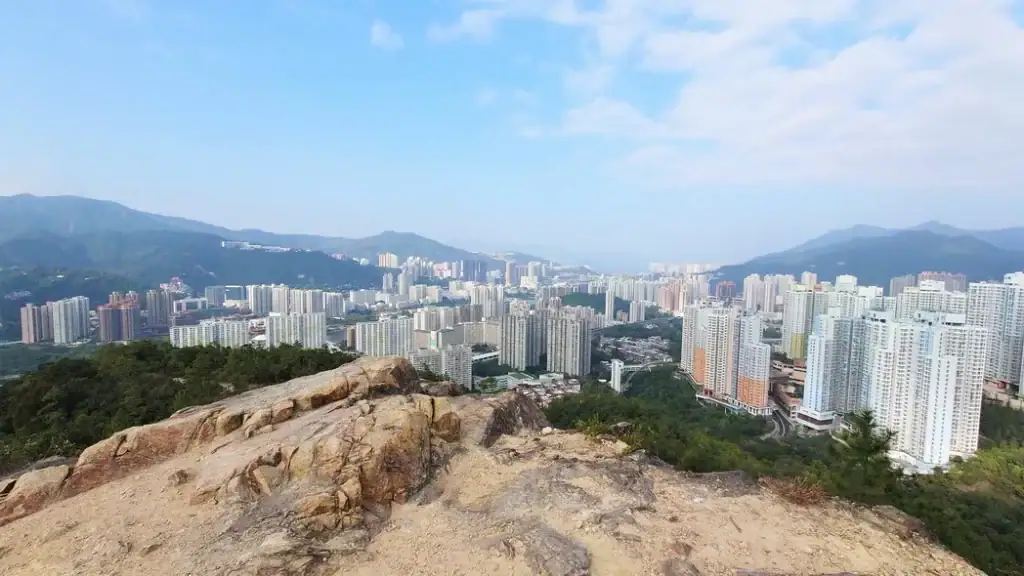 蝌蚪坪