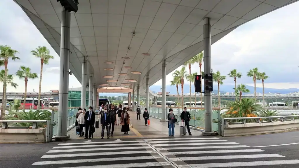 jeju 9.81