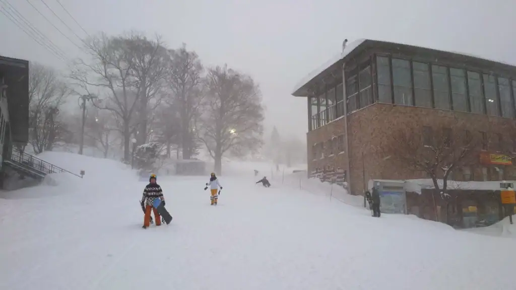 藏王滑雪場