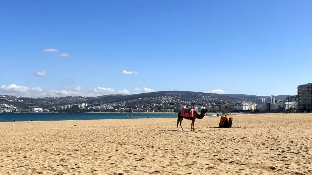 摩洛哥丹吉爾Tangier