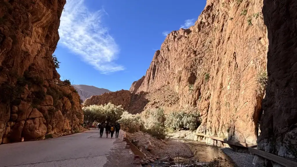 撒哈拉沙漠團Sahara Desert Tour