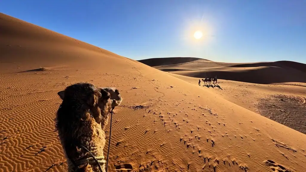 撒哈拉沙漠團Sahara Desert Tour