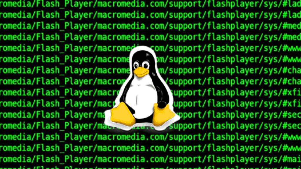 Shell Linux