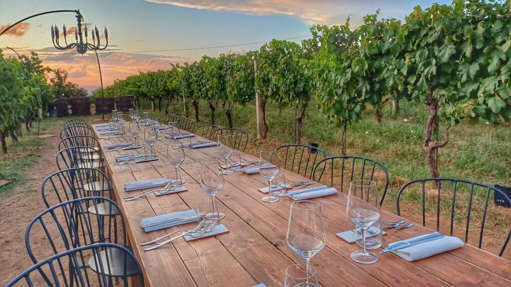 Cena in vigna, sogno di una notte di mezza estate
