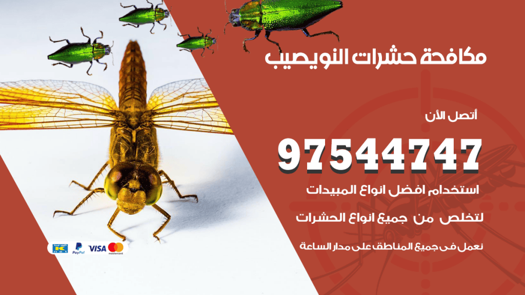 رقم مكافحة حشرات وقوارض النويصيب