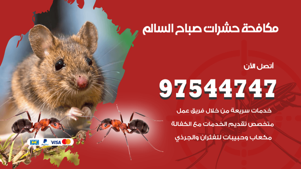 رقم مكافحة حشرات وقوارض صباح السالم