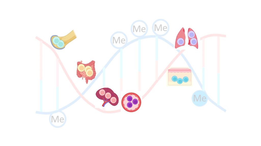 Bild zur Veröffentlichung von Jun Dong