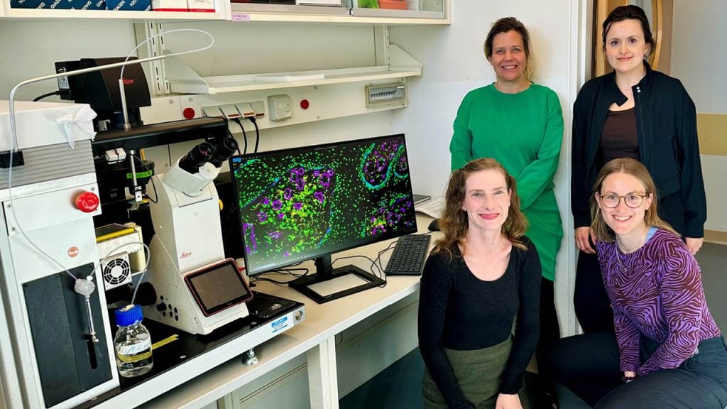 4 Scientists working on the project