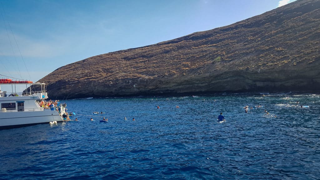 Snorkeling at Molokini Crater, Maui