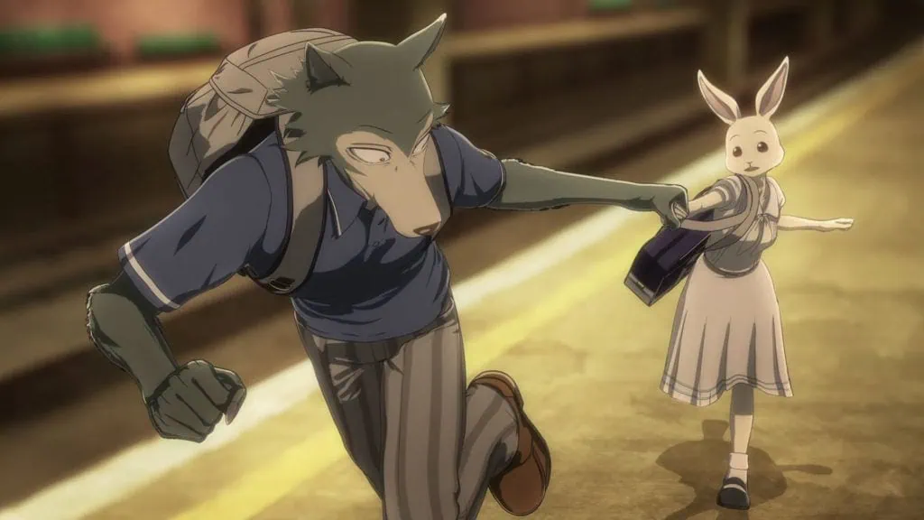 beastars anime corsa