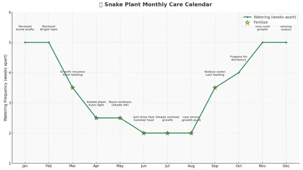 Snake plant care schedule infographic with monthly Sansevieria care tips including watering frequency, fertilizing guide, and seasonal houseplant maintenance calendar