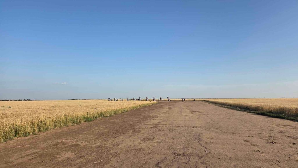 Roadtrip-Stopp an der Cadillac Ranch, bunte Autoreihen im Feld bei Amarillo