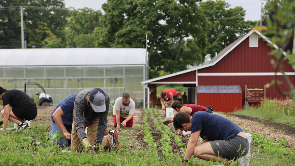 Volunteers getting involved in planting at a Kids' Food Basket Farm