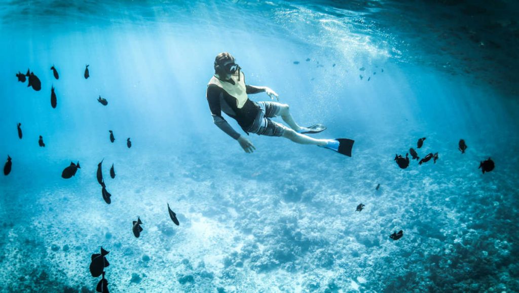 La Ciotat vue depuis la mer : croisières & loisirs nautiques activites nautiques snorkeling