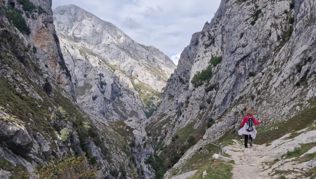 Canal-del-Texu-Bulnes