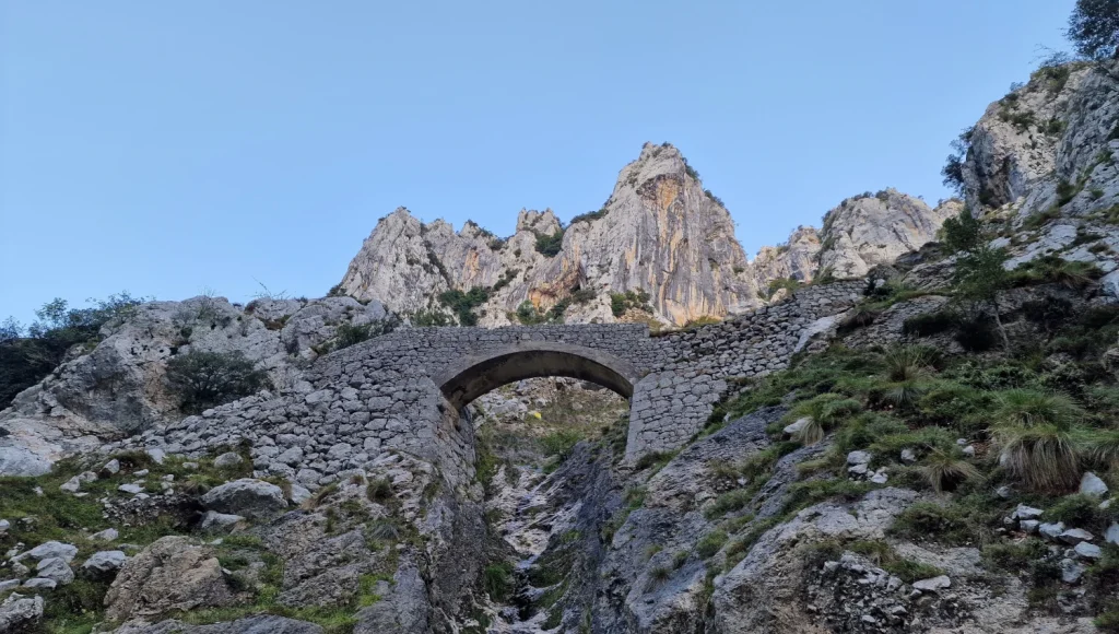 Picos-de-Europa