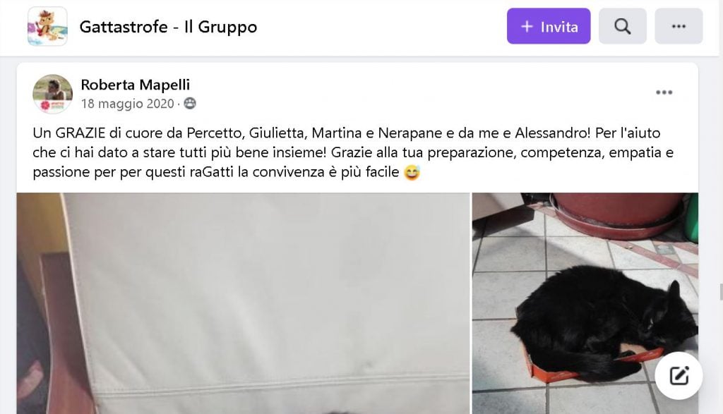 Recensione Gattastrofe Roberta Mapelli 18-05-2020