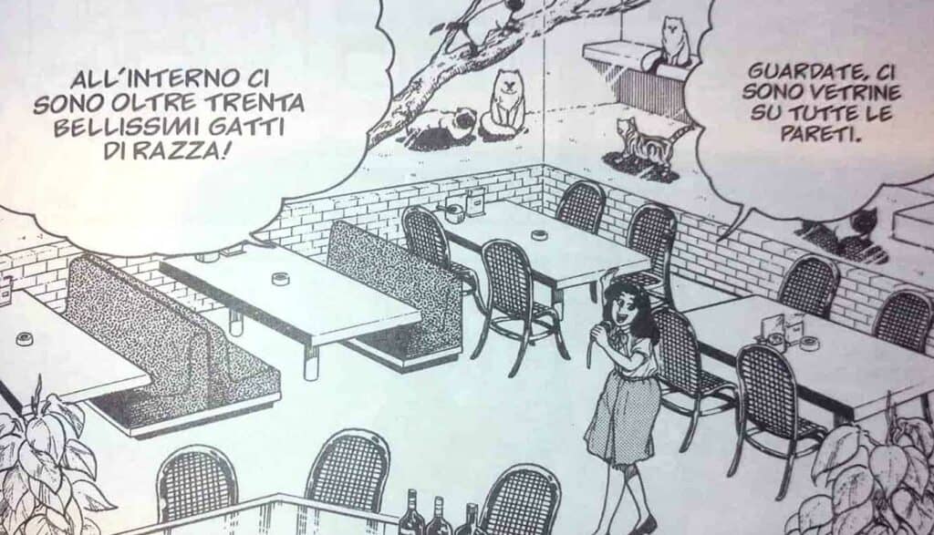 what's michael cat cafe