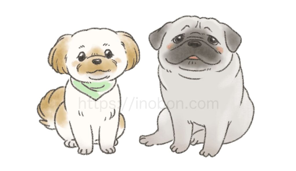 シーズーとパグのイラスト