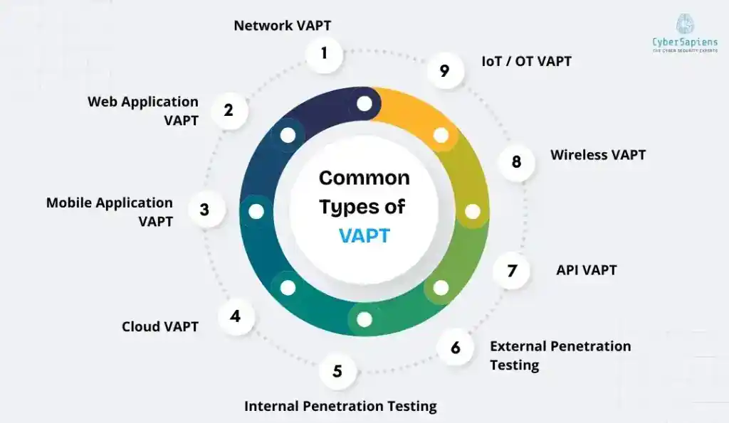 types of VAPT