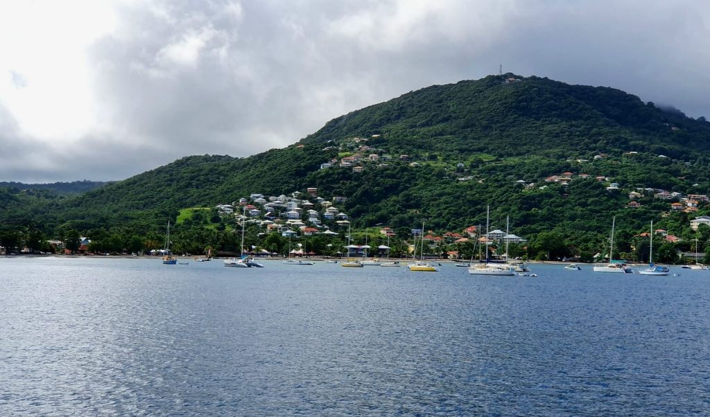 Die Küste von Martinique