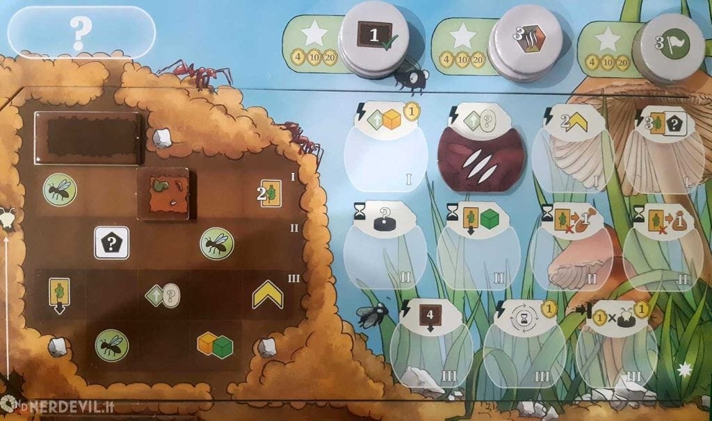 ants gioco area scavo