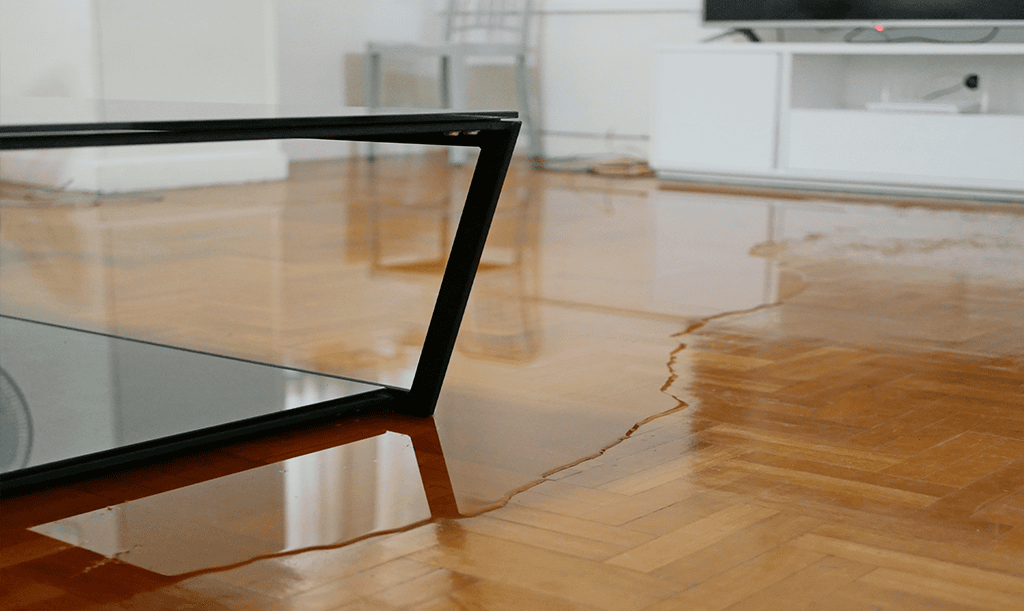 LANA Water Leak Detection Software