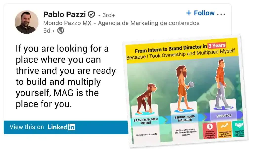 linkedin post internship pablo