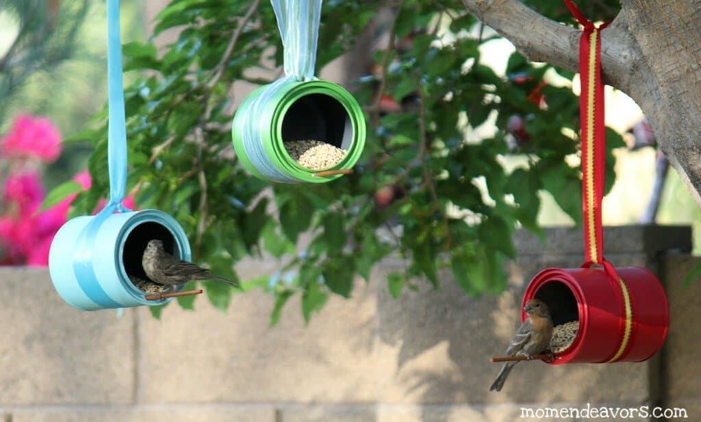 tin can bird feeder