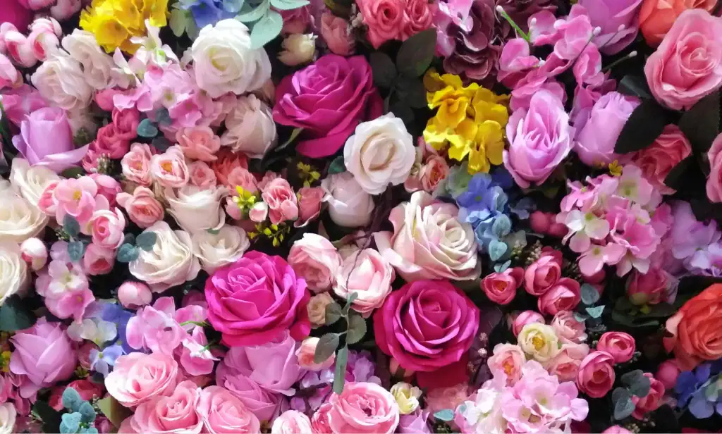 hogar 3 Rosas