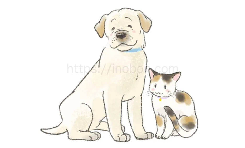 シニアの大型犬と猫が仲良く座っている、健康的な高齢期