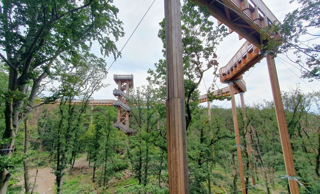 Hoch hinaus im Baumwipfelpfad Bad Camberg