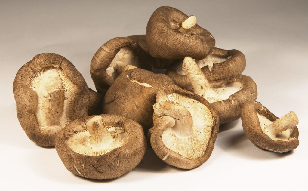 Beginners Guide to Chinese Cooking at Home 6 shitake mushrooms