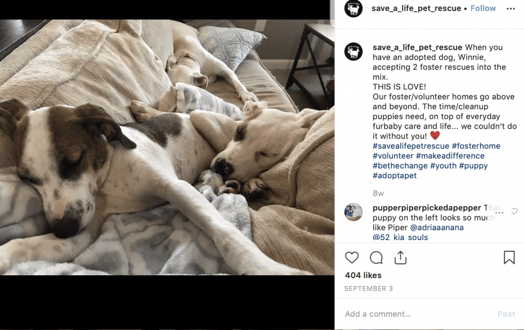 social media nonprofit post