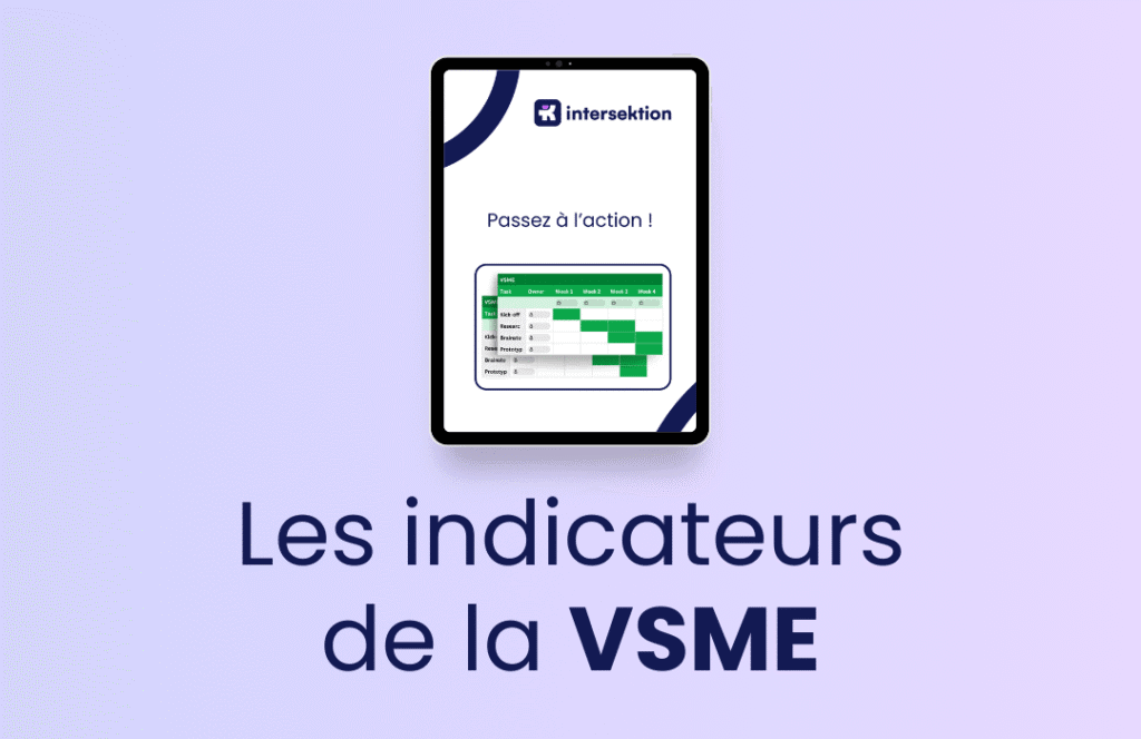Indicateurs vsme