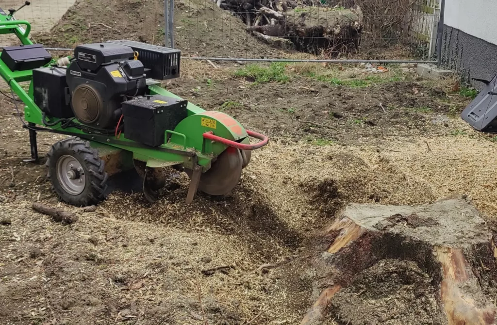 Baumstumpf entfernen Wurzelstockfräsen