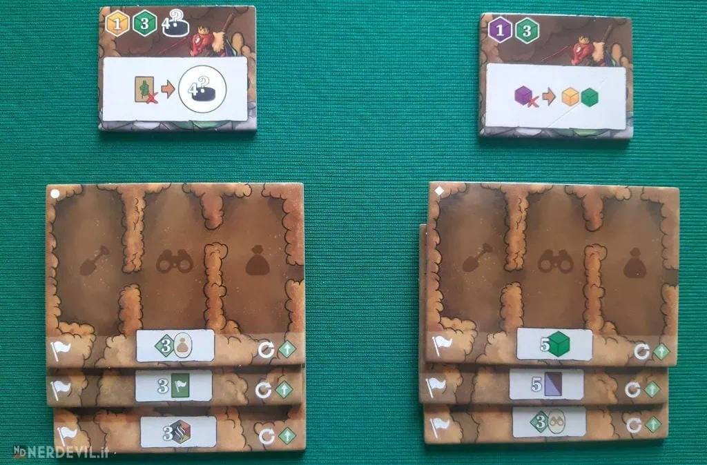 ants tessere regina incubazione