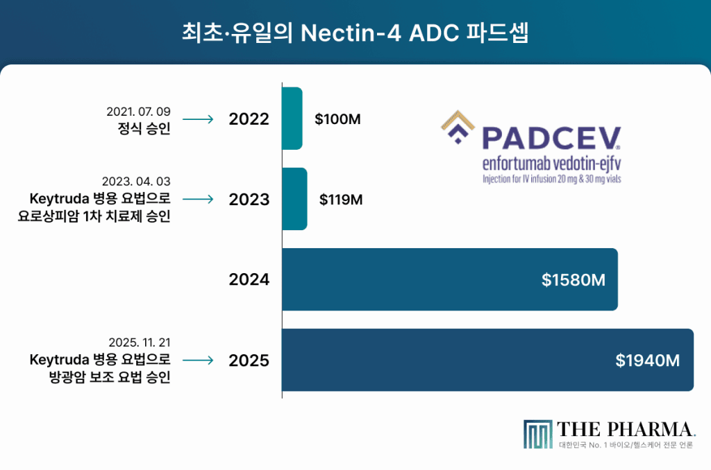 Nectin-4 ADC 파드셉의 승인 일정과 예상 매출을 나타낸 인포그래픽.