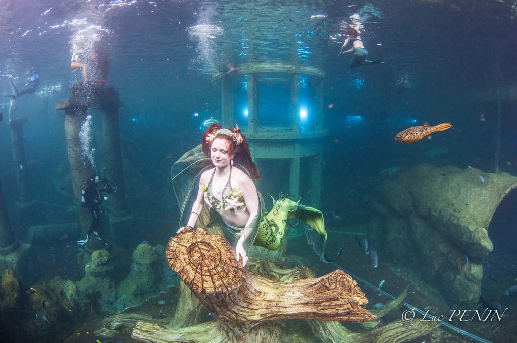 photos de sirène 2018, sirène, mermaid, sirène professionnelle, magictail, tail, professional mermaid, galatée la sirène, Todi aquarium