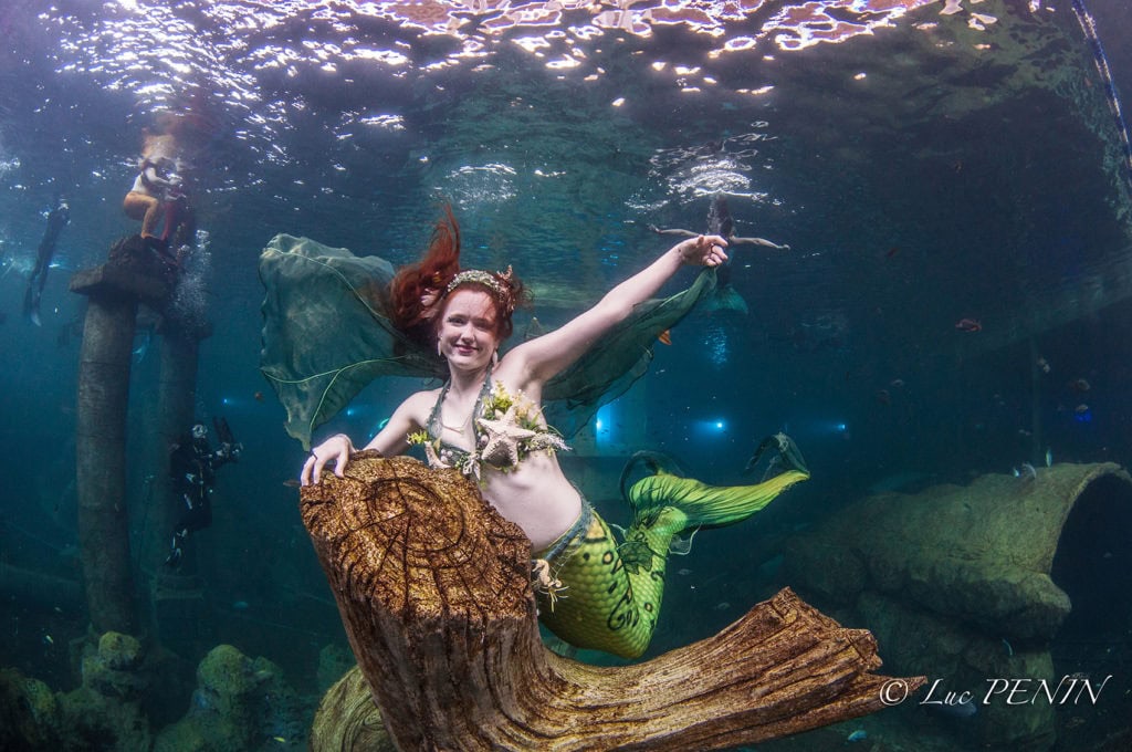 photos de sirène 2018, sirène, mermaid, sirène professionnelle, magictail, tail, professional mermaid, galatée la sirène, Todi aquarium