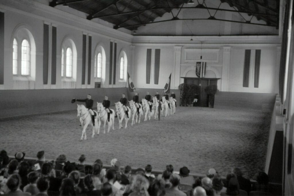 Lipizzaner Horses in Spanish Riding School 1948