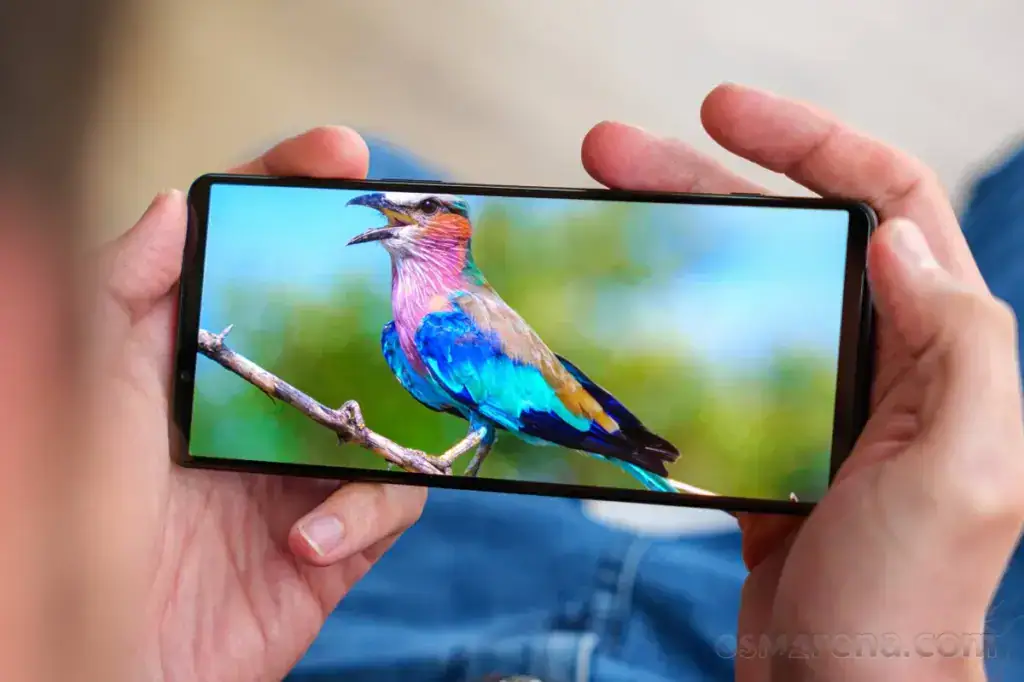 sony 1 v display