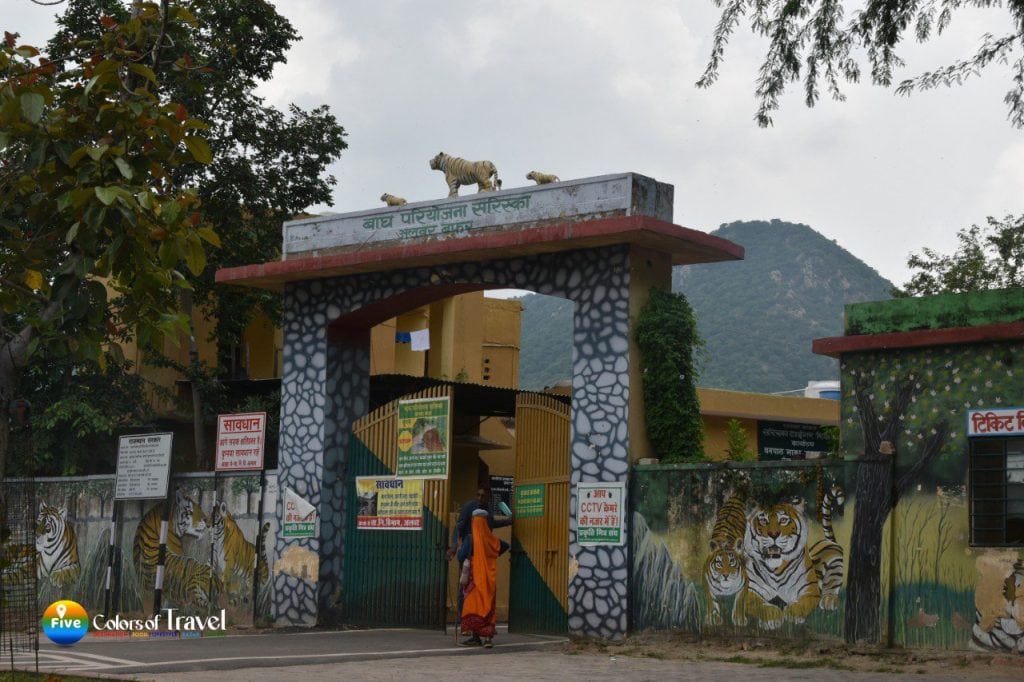 सरिस्का जंगल