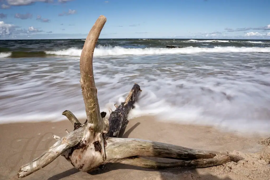 Strandgut der Stille