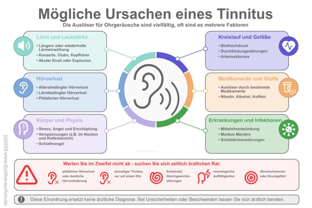 Die Grafik beschreibt die möglichen Ursachen für einen Tinnitus. Dazu zählen Lärm, Hörverlust, körperliche Beeinträchtigungen (auch des Kreislaufs), Medikamente und/oder Erkrankungen
