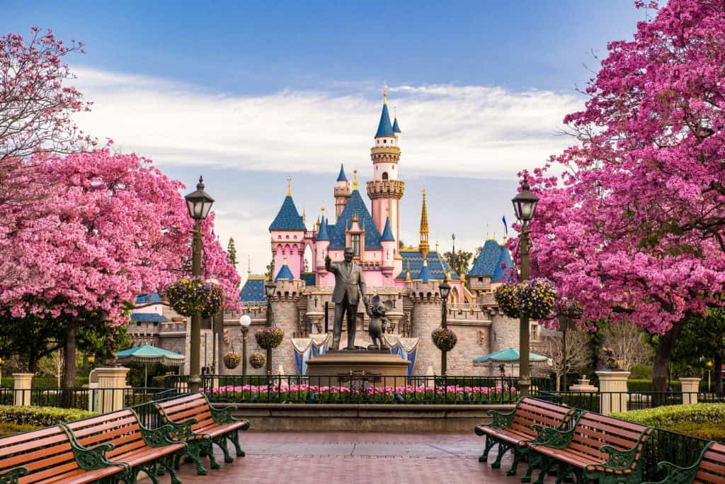 Enchanting Disneyland castle with pink blossoms and park benches, perfect for family vacations and theme park adventures.