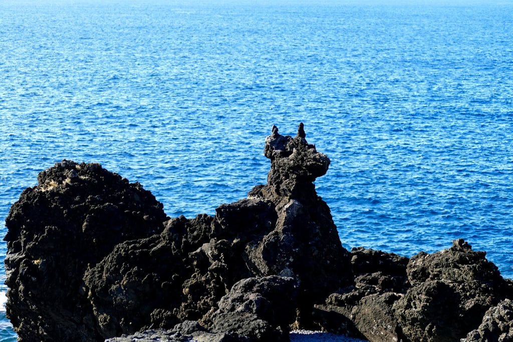 Dog-shaped sculpture in Cachorro