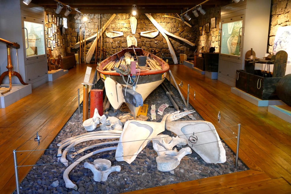 Inside the Whale Museum in Lajes do Pico